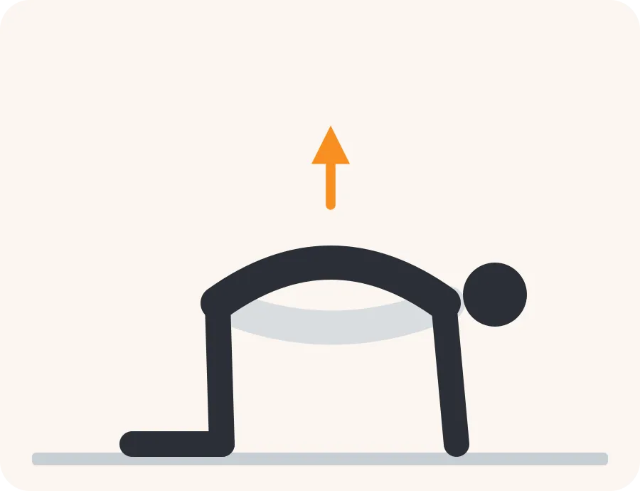 Line drawing of the cat and cow exercise: the faded figure is the start, the dark figure is the finish, and the orange arrow shows the movement.